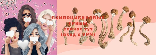 стафф Аркадак