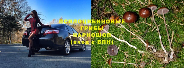 стафф Аркадак