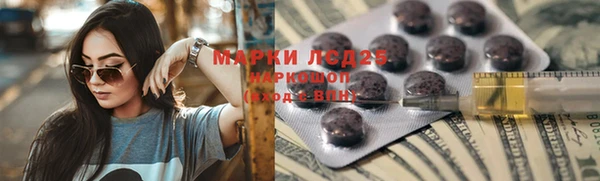 стафф Аркадак