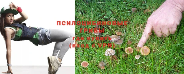 стафф Аркадак