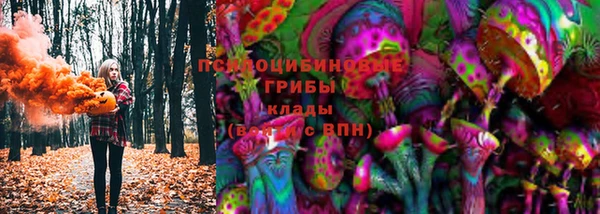 PSILOCYBIN Арсеньев