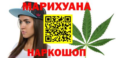 шишки Ставрополь