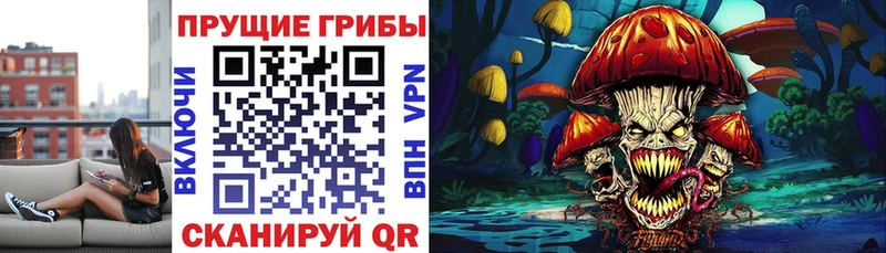 MEGA зеркало  Серов  Псилоцибиновые грибы Magic Shrooms 