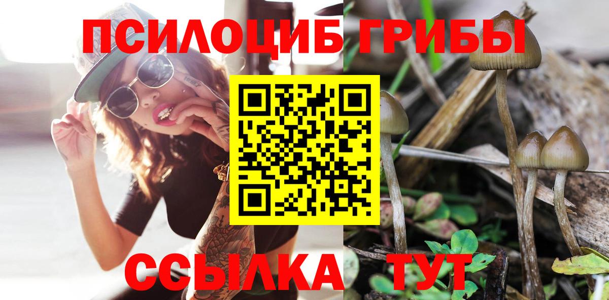 Псилоцибиновые грибы GOLDEN TEACHER  Вход с VPN  Серов  Псилоцибиновые грибы ЛСД 